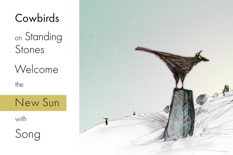 Occasion Card-Artwork for Cowbird