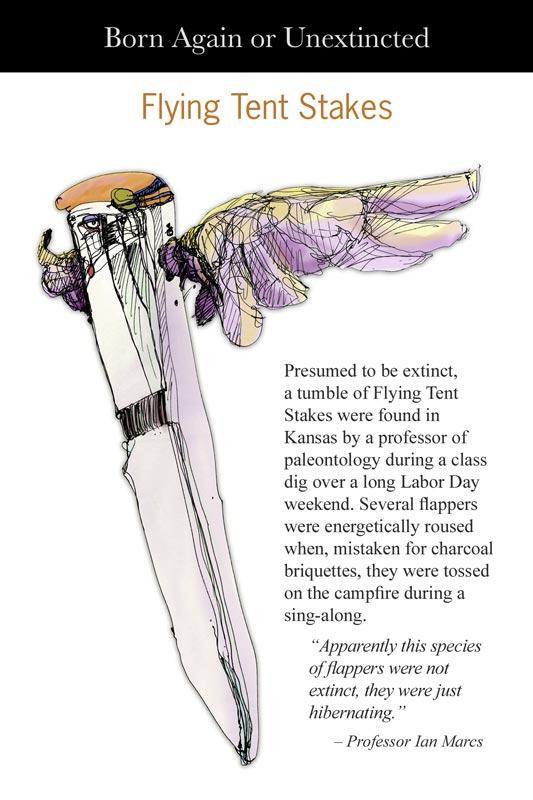 Occasion Card-Artwork for Flying Tent Stake