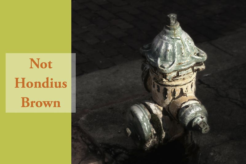 Occasion Card-Artwork for Not Hondius Brown