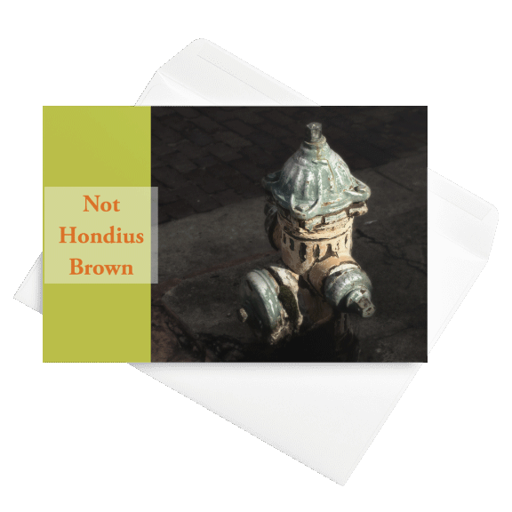 Occasion Card 4x6 — Not Hondius Brown