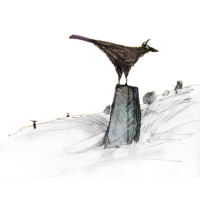 Featured Image — Cowbird