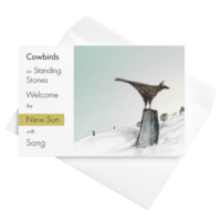Occasion Card 4x6 — Cowbird