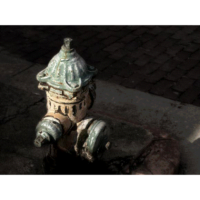 Featured Image — Not Hondius Brown